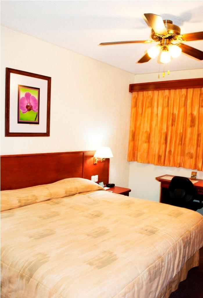 Hotel Marcella Clase Ejecutiva Morelia Dış mekan fotoğraf